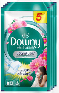 DOWNY Liquid Laundry Detergent Indoor Dry Clean 29ml